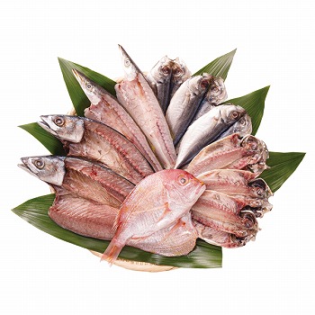 Đ(̂)Y Ђ̊ےl (T-M)